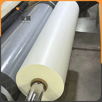 Polymer Adhesive Films factory